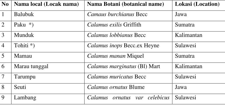 Table 1. Rattan used in the research 