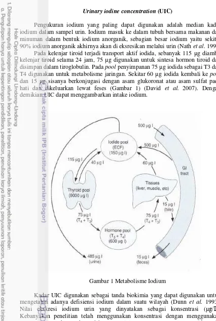 Gambar 1 Metabolisme Iodium 