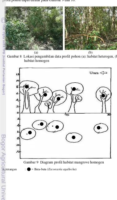 Gambar 8  Lokasi pengambilan data profil pohon (a): habitat heterogen, (b): 