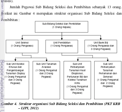 Gambar 4.  Struktur organisasi Sub Bidang Seleksi dan Pembibitan (PKT KRB  