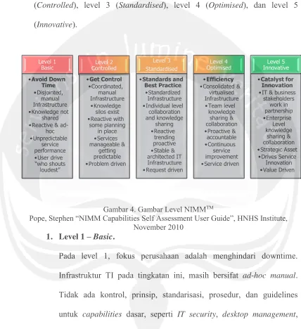 Gambar 4. Gambar Level NIMMTM NIMM Capabilities Self Assessment User Guide