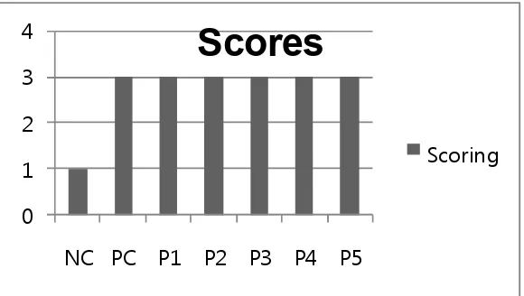 Fig. 9. Median graph of histopathologic scores of Jejunum of male Wistar Rats