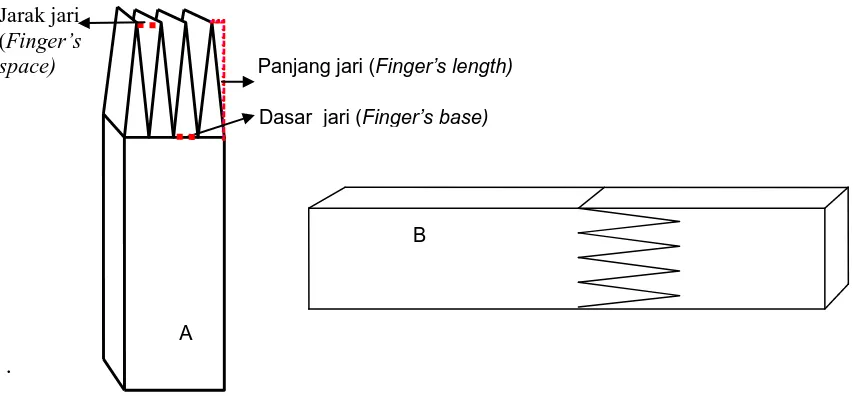 Gambar 1. Bentuk keratan profil jari (A) dan sambungan jari (B) 