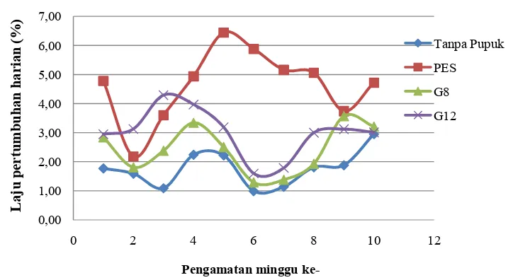 Gambar 6  Laju pertumbuhan harian (LPH) setiap minggu pada pembesaran talus di laboratorium selama 10 minggu