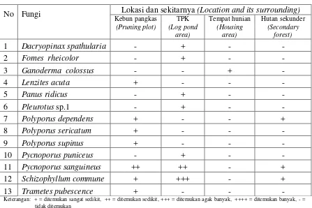 Tabel 1. Fungi pelapuk kayu yang ditemukan di hutan mangium dan alam Subanjeriji  (Table 1