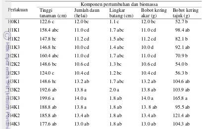 Gambar 4 Respon morfologis tanaman jagung terhadap pemupukan pada 4 mst. (A) kompos tanpa PGPR + NPK 100%; (B) PGPR + cendawan endofit + CMA + NPK 100%, (C) PGPR + cendawan endofit + CMA + NPK 75%, (D) PGPR + cendawan endofit + CMA + NPK 50%
