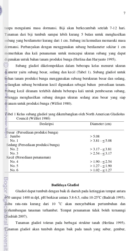 Tabel 1 Kelas subang gladiol yang dikembangkan oleh North American Gladiolus