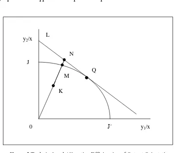 Figure 4(a) illustrated a decreasing return to scale in technology, represented 