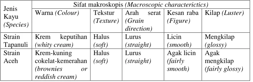 Table 3. Macroscopic pine wood characterictics of Tapanuli and Aceh Strain Tabel 3.  Sifat makroskopis kayu tusam strain Tapanuli dan Aceh   