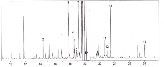 Gambar 3. Kromatogram komposisi kimia minyak atsiri dari daun pohon wangi yang disuling dengan sistem kukus Figure 3