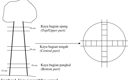 Gambar 1. Cara pengambilan sampel 