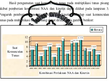 Gambar 2.  Pengaruh Konsetrasi NAA dan Kinetin terhadap Saat Kemunculan Tunas pada Mutiplikasi Tunas Pisang (Musa paradisiaca L