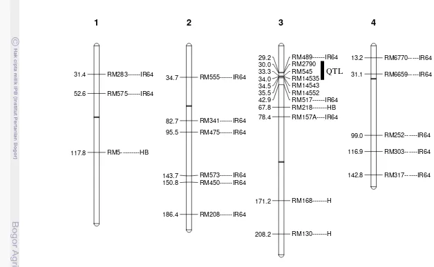 Gambar 11 Konstitusi background galur BC2F2 175-63 (jarak genetik didapatkan dari Mc Couch 2001 dan CIAT 2006)