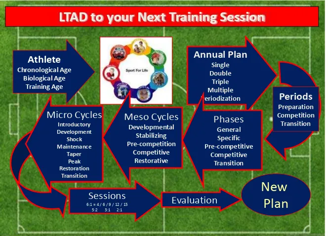 Gambar 6 :Chart Alur perencanaan latihan kurikulum sekolah sepak