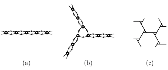 Figure 1: (a) simple walk; (b) spider walk; (c) a spider web. At each point, there are twoequiprobable moves.