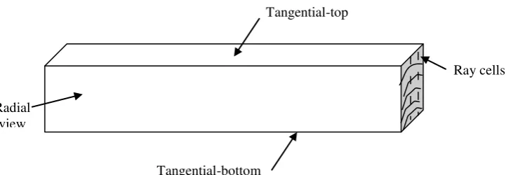 Figure 1. The determination of side surfaces of Radiata pine samples  