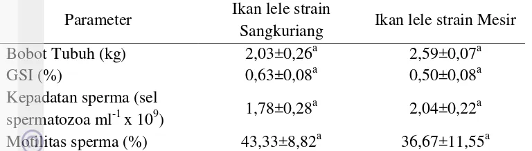 Tabel 3  Performa induk jantan ikan lele Afrika strain Sangkuriang dan Mesir 