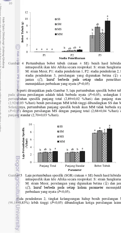 Gambar 4 Pertumbuhan bobot tubuh (rataan ± SE) benih hasil hibridisasi 