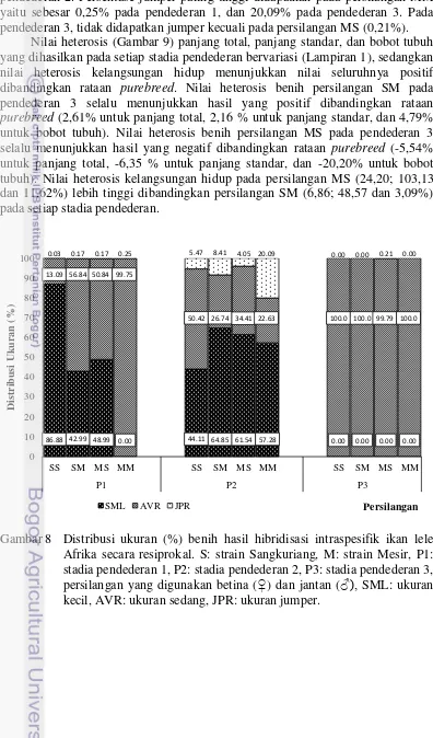 Gambar 8  Distribusi ukuran (%) benih hasil hibridisasi intraspesifik ikan lele 