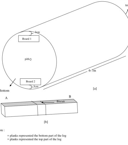 Figure 1. Sample preparation [a] sawing phase ; [b] cutting pattern 