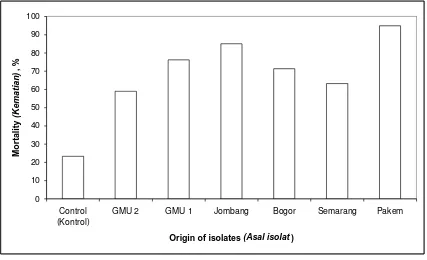 Figure 2. Summarizing of average termite mortality percentage of termite 