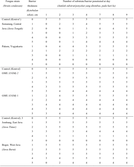 Table 1. Penetration of termite through Metarhizium anisopliae barrier1 Tabel 1. Penembusan rayap melalui penyekat Metarhizium anisopliae1 