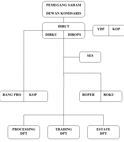 Gambar 4.1  Struktur Organisasi PT. Asam Jawa 