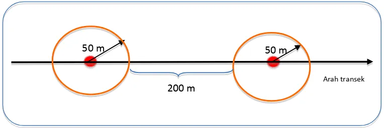 Gambar ( Figure) 2. Transek pengamatan burung (The illustration of transect line) 