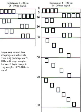 Gambar (Figure) 2. Metode pengambilan contoh tanah untuk memperkirakan simpanan karbon tanah (Soil sampling method for estimating soil carbon storage)  