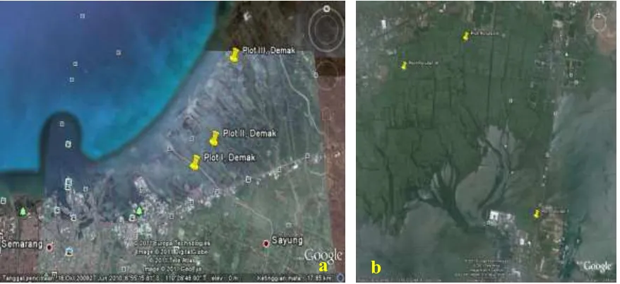 Gambar (Figure) 1.  Lokasi penelitian di hutan mangrove: (a) Demak, (b) Denpasar (Research sites of mangrove forest: (a) Demak, (b) Denpasar)  