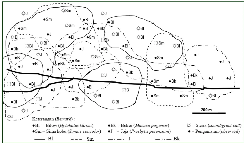 Gambar (Figure) 3. Sebaran kelompok dan tumpang-tindih daerah jelajah primata di areal penelitian (Groups distribution of primates and homerange overlapping in study area) 