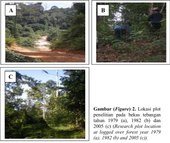 Gambar  (Figure) 1. Disain plot penelitian (Design of research plot)  