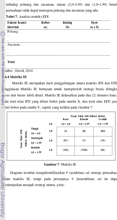 Tabel 7. Analisis matriks EFE 