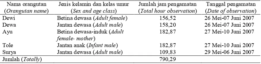 Tabel (Table) 1. Jumlah jam pengamatan orangutan di Mentoko, TN Kutai (The Total observation of orangután in Mentoko, Kutai National Park) 