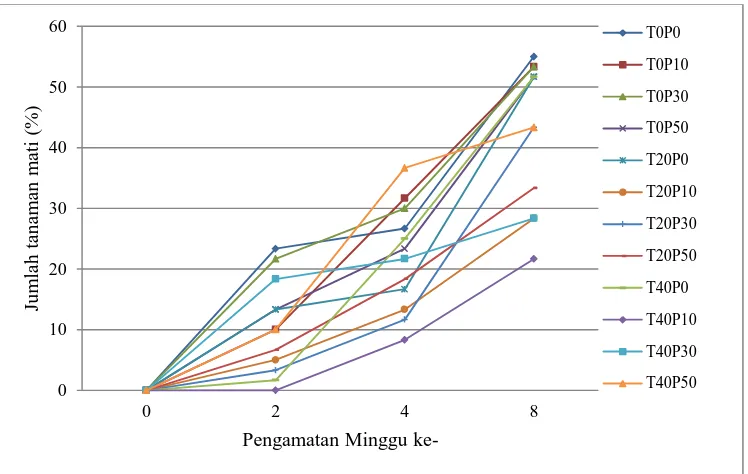 Gambar (Figure) 11. Rerata daya hidup tanaman tiap periode pengamatan (Survival rate of seedling within observation period)  