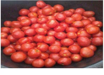 Gambar buah tomat, tomat setelah di potong, tomattomat yang  telah di  freeze  drying 