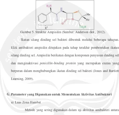 Gambar 5. Struktur Ampisilin (Sumber: Anderson dkk., 2012). 