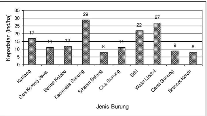 Gambar (Figure) 4.  Konversi hutan menjadi kebun rumput gajah (Forest land conversion to Thimeda gi-gantea land) 