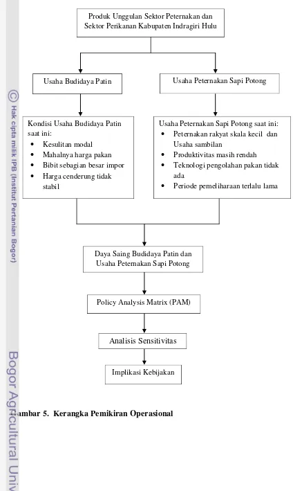 Gambar 5.  Kerangka Pemikiran Operasional 