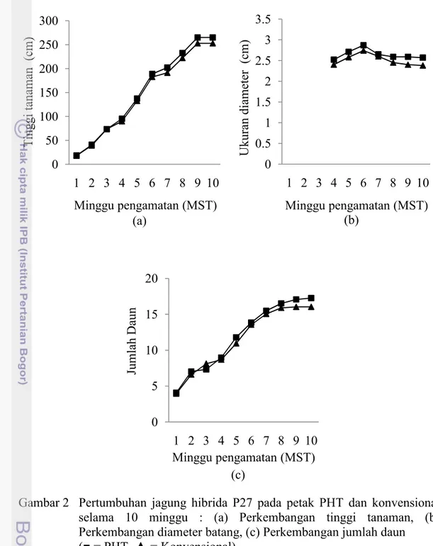 Gambar 2   Pertumbuhan jagung hibrida P27 pada petak PHT dan konvensional  selama 10 minggu : (a) Perkembangan tinggi tanaman, (b)  Perkembangan diameter batang, (c) Perkembangan jumlah daun  