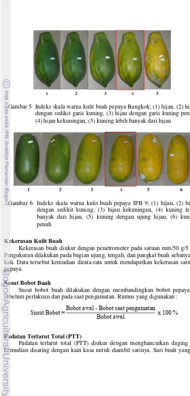 Gambar 5  Indeks skala warna kulit buah pepaya Bangkok; (1) hijau, (2) hijau 
