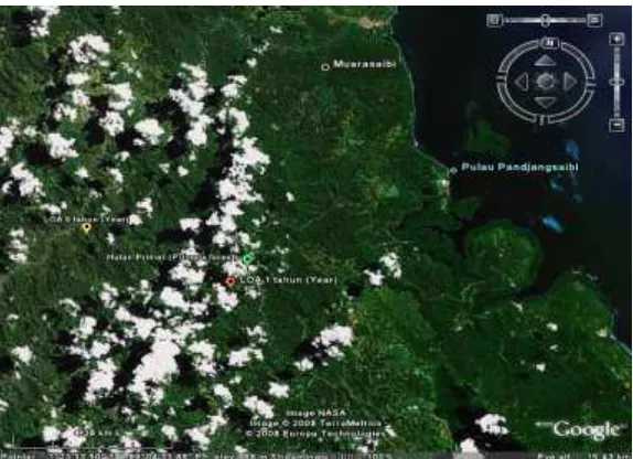 Gambar (Fig.) 1. Lokasi penelitian di IUPHHK Koperasi Andalas Madani Pulau Siberut (Research site, the production forest of Koperasi Andalas Madani, Siberut Island) (Google, 2008)  
