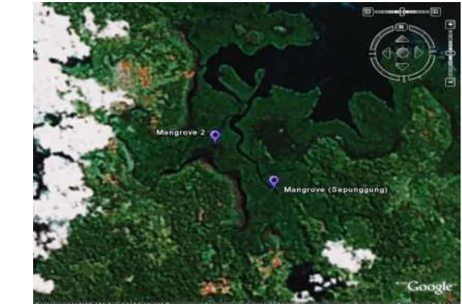 Tabel (Table) 1. Curah hujan di kawasan hutan Koperasi Andalas Madani, Siberut Sumatera Barat (Monthly rainfalls at forest concession of Koperasi Andalas Madani, Siberut, West Sumatra) 