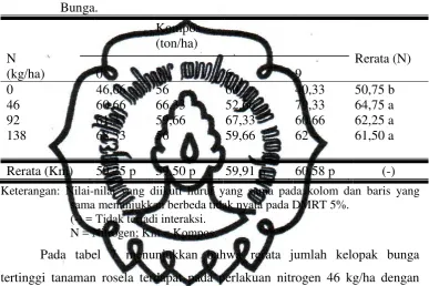 Tabel 7.   Pengaruh Nitrogen dan Kompos terhadap Rerata Jumlah Kelopak 
