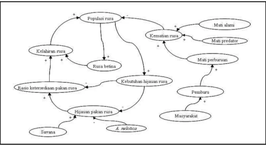 Gambar (Figure)                                   loop model for deer dynamics simulation system in Baluran National Park) 1