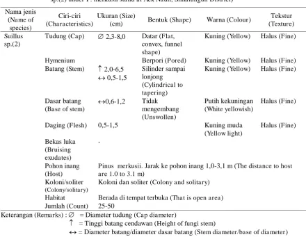 Tabel (Table) 9.  Ciri-ciri makroskopis cendawan ektomikoriza jenis Scleroderma citrinum di bawah tegakan P