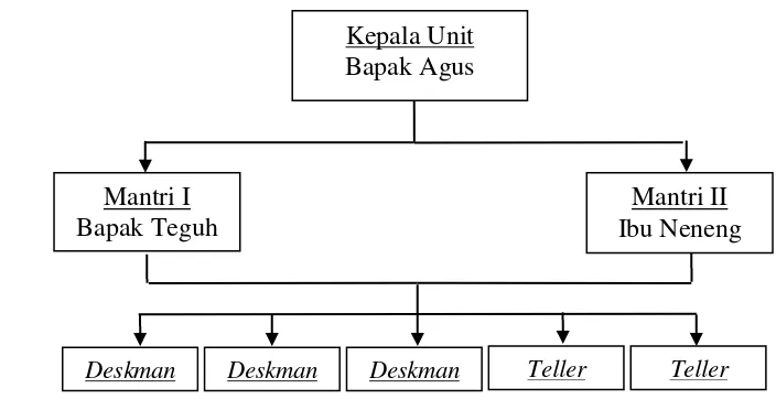 Gambar 3 Struktur organisasi BRI Unit Ciampea 