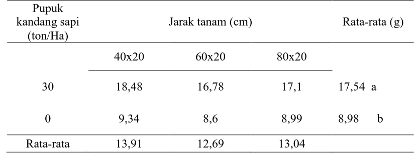Tabel 3. Jumlah umbi per tanaman bawang merah pada pemberian pupuk kandang sapi dan jarak tanam dalam sistem tumpang sari bawang merah/kedelai pada umur 9 MST 