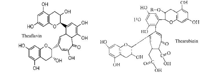 Gambar 2  Struktur theaflavin dan thearubigin (sumber: Shahidi dan Naczk, 2004) 