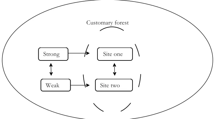 Figure 2. Multi-case studies used in the research strategy